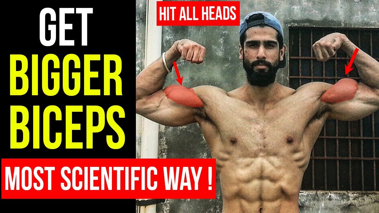 Most Scientific Workout to GET BIGGER BICEPS (Hit All Heads) | ARMS WORKOUT Part 1