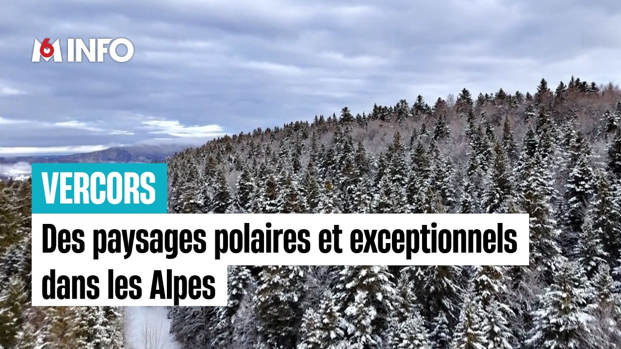 Le Vercors en hiver, un décor polaire et captivant