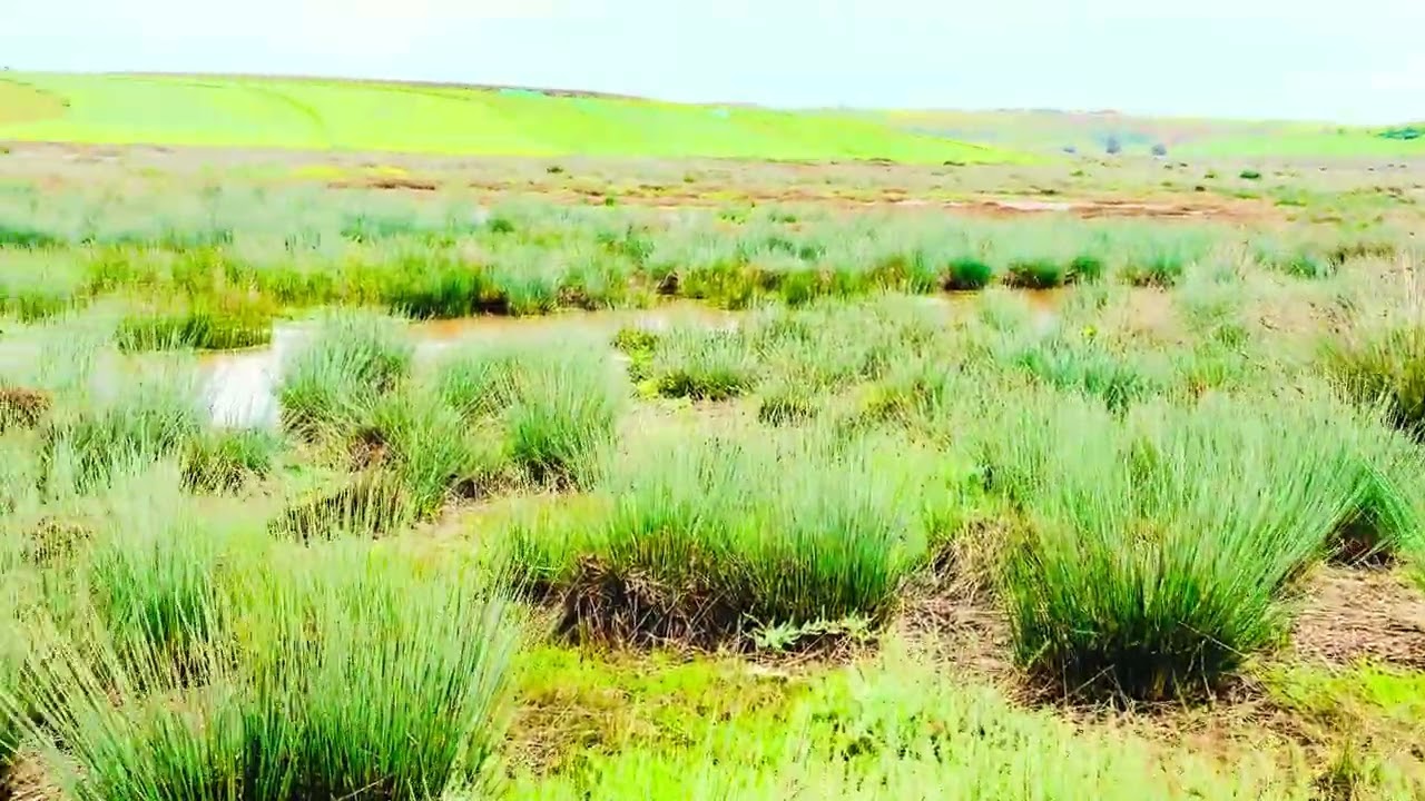 من المجدب الله يبرك متنسش موتبع بش ديم يوسلك الجديد 9.02.2026