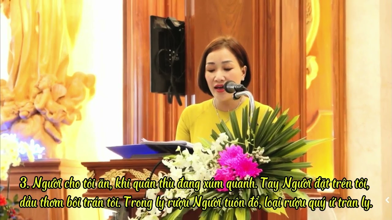 THÁNH VỊNH 22 - Tường Ân #donghuongxuanduc #thanhvinhdapca