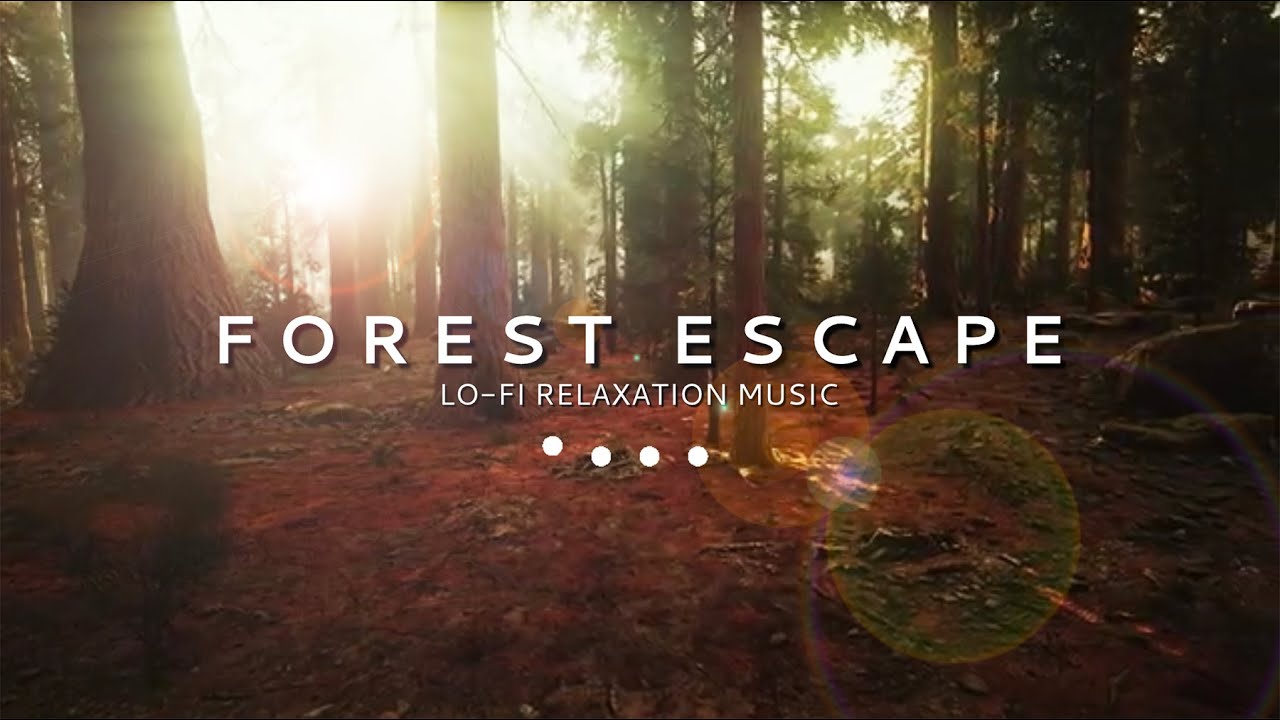 🎧 LoFi Relaxation Music for Travel | Forest Escape (🧭30mins)