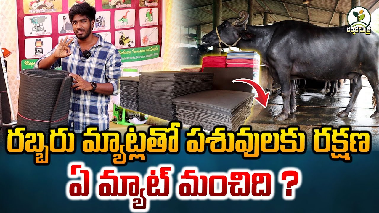 పాడి పశువుల కోసం ఉత్తమ రబ్బరు మ్యాట్లు || Pure Rubber Cow Mats for Dairy Farms || Karshaka Mitra