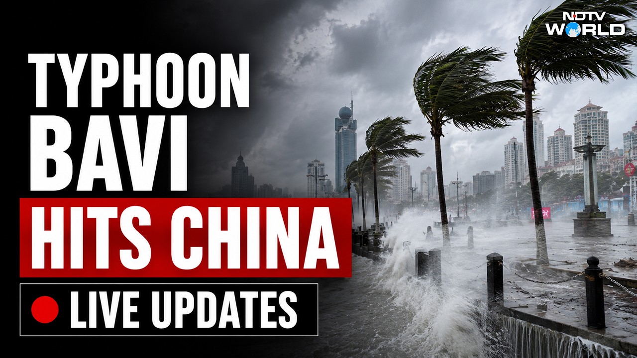 Typhoon Bavi LIVE Updates | China Typhoon | Bavi Typhoon | China Weather | Taiwan News
