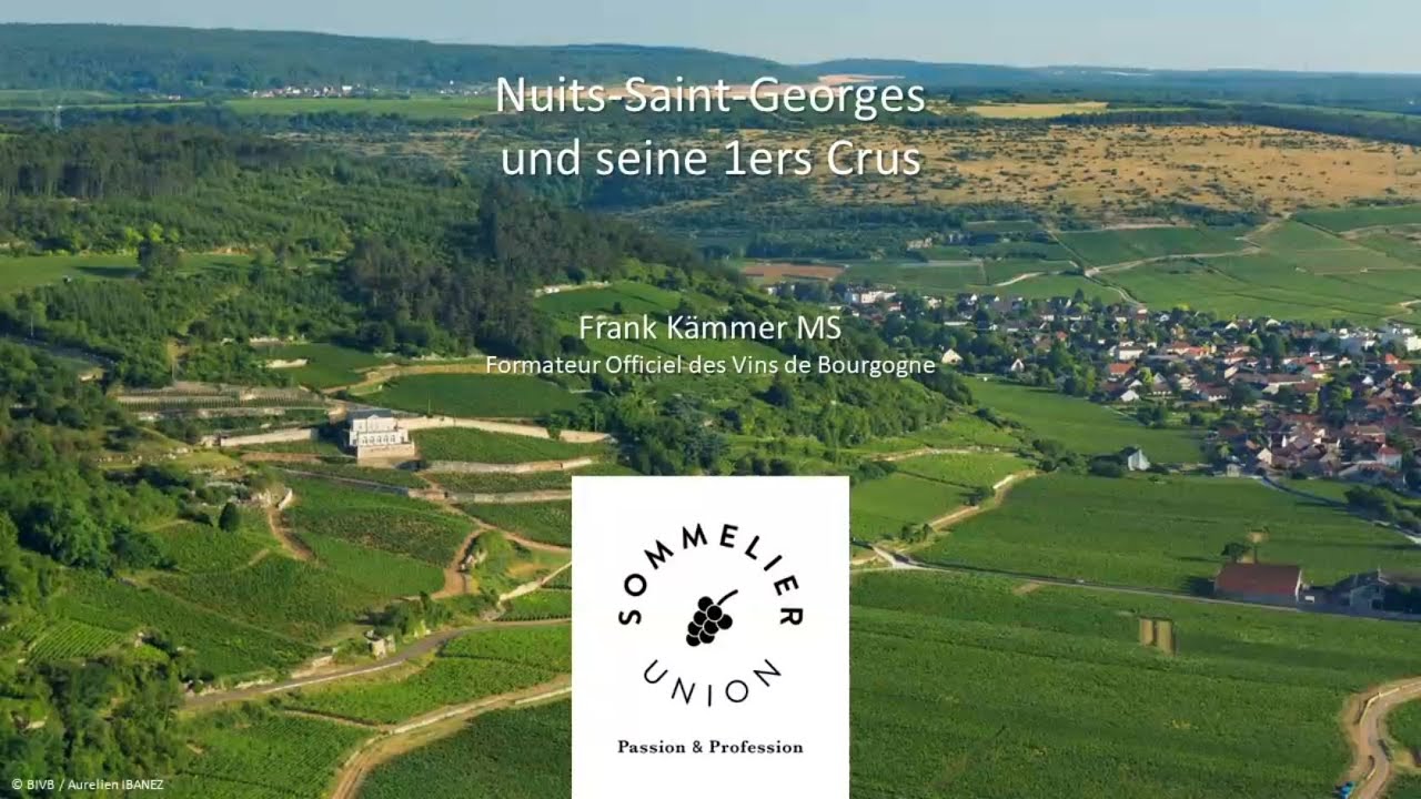 Burgund - Nuits-Saint-Georges und seine 1ers Crus