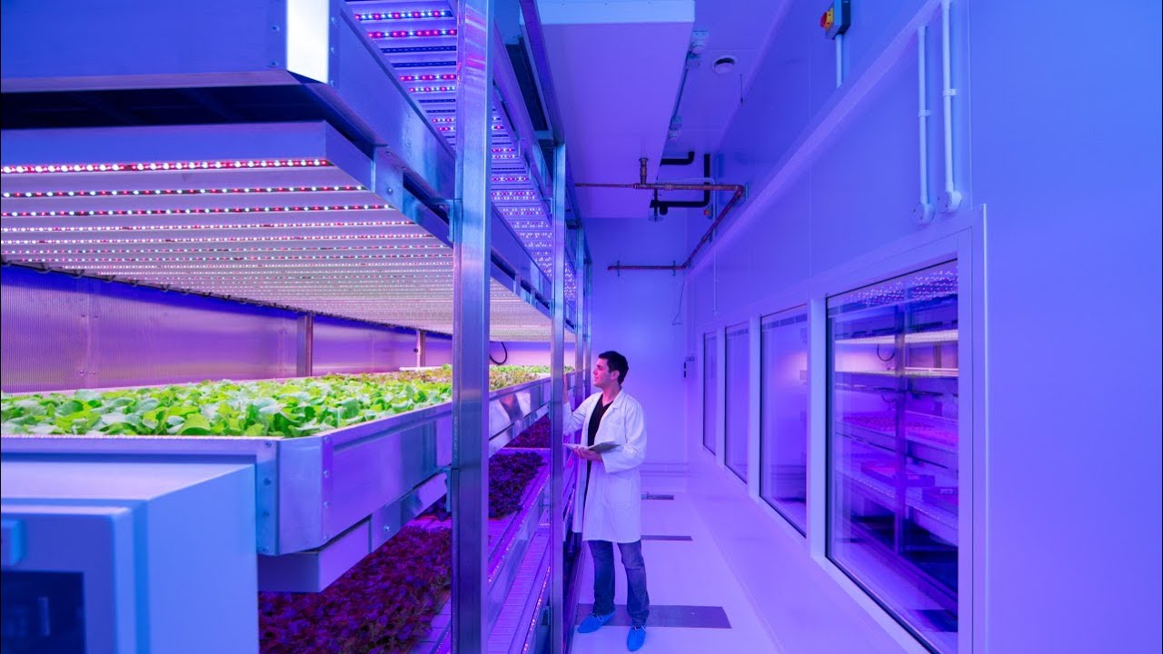Philips GrowWise Center - Our blueprint for vertical farming