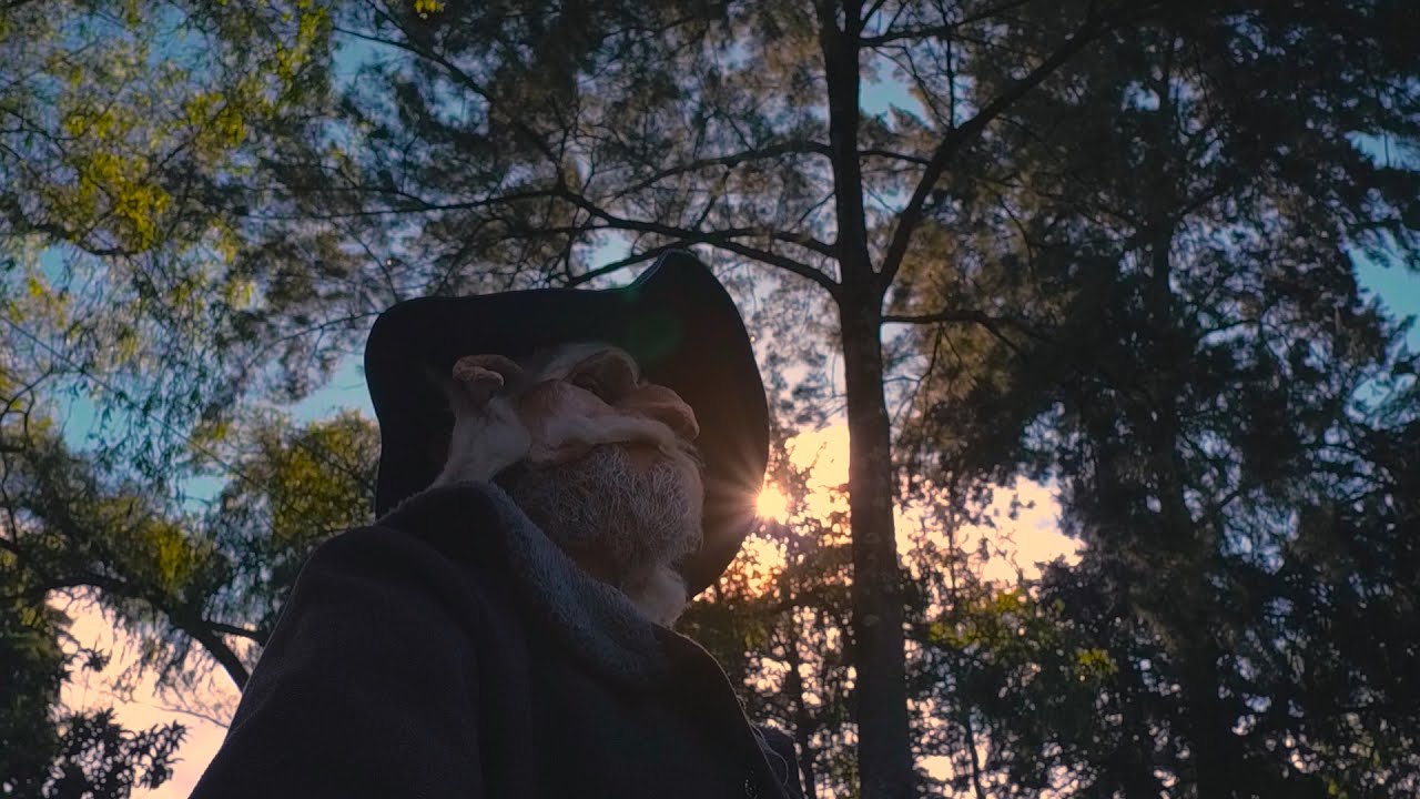 Festival de Artes Vivas Loja 2022