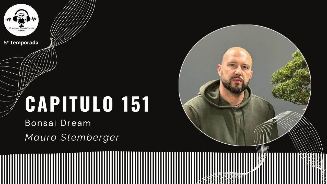 Capítulo 151.- Bonsai Dream. Mauro Stemberger