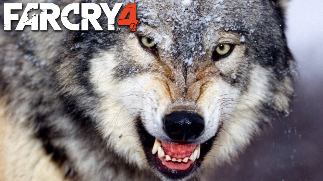 FAR CRY 4 - Caçando LOBOS para a Amita! #03