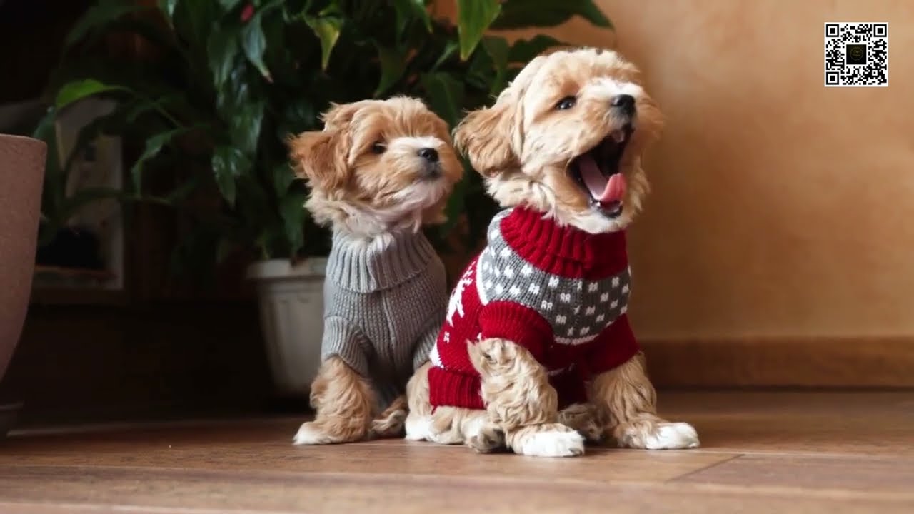 Who are the cutest boys and girls !?