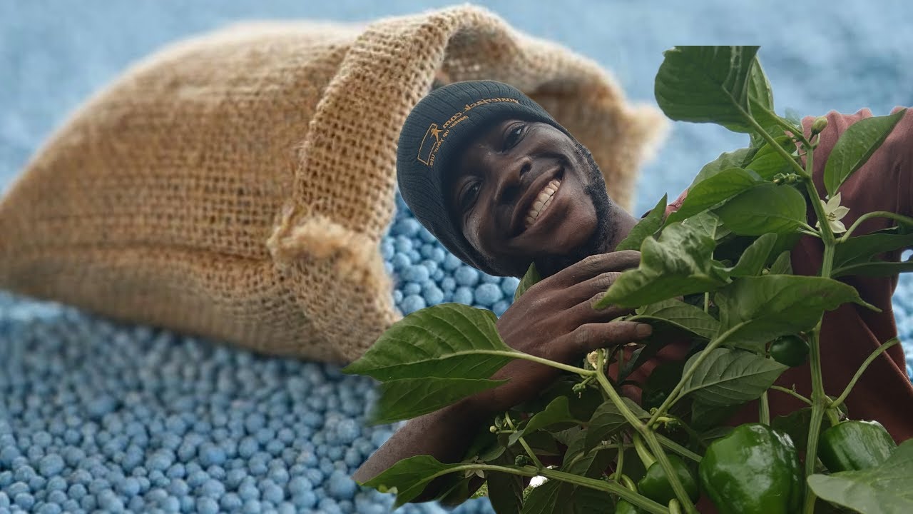 Лучшее удобрение для всех культур. Добивайтесь хорошего роста, используя рекомендуемые типы удобр...