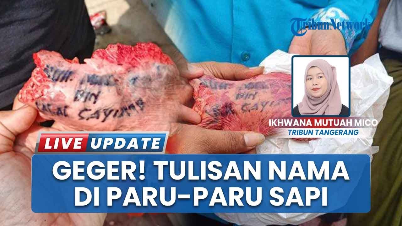 Viral Paru-paru Sapi Kurban Bertuliskan Nama Orang di Tangerang Selatan saat Disembelih