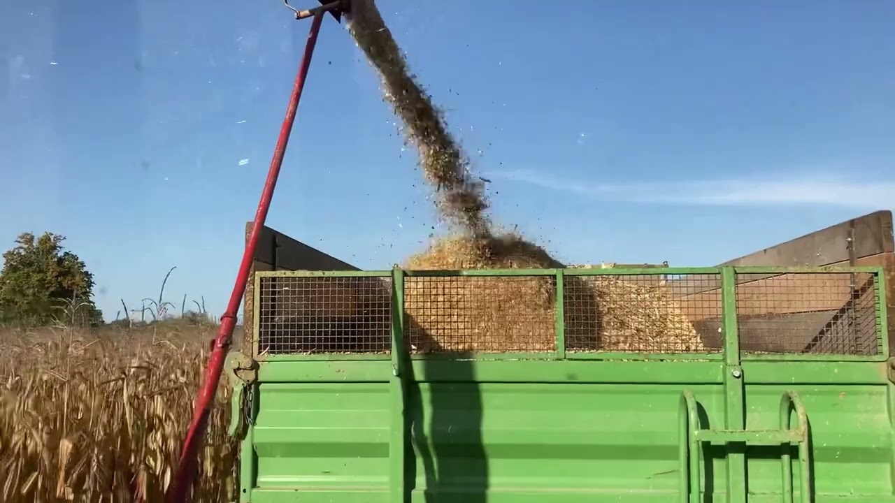 Maishäckseln 2022 Fendt Farmer 308 LSA und PZ MH 80s