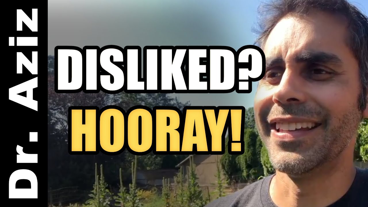 You Will Be Disliked (Hooray!)