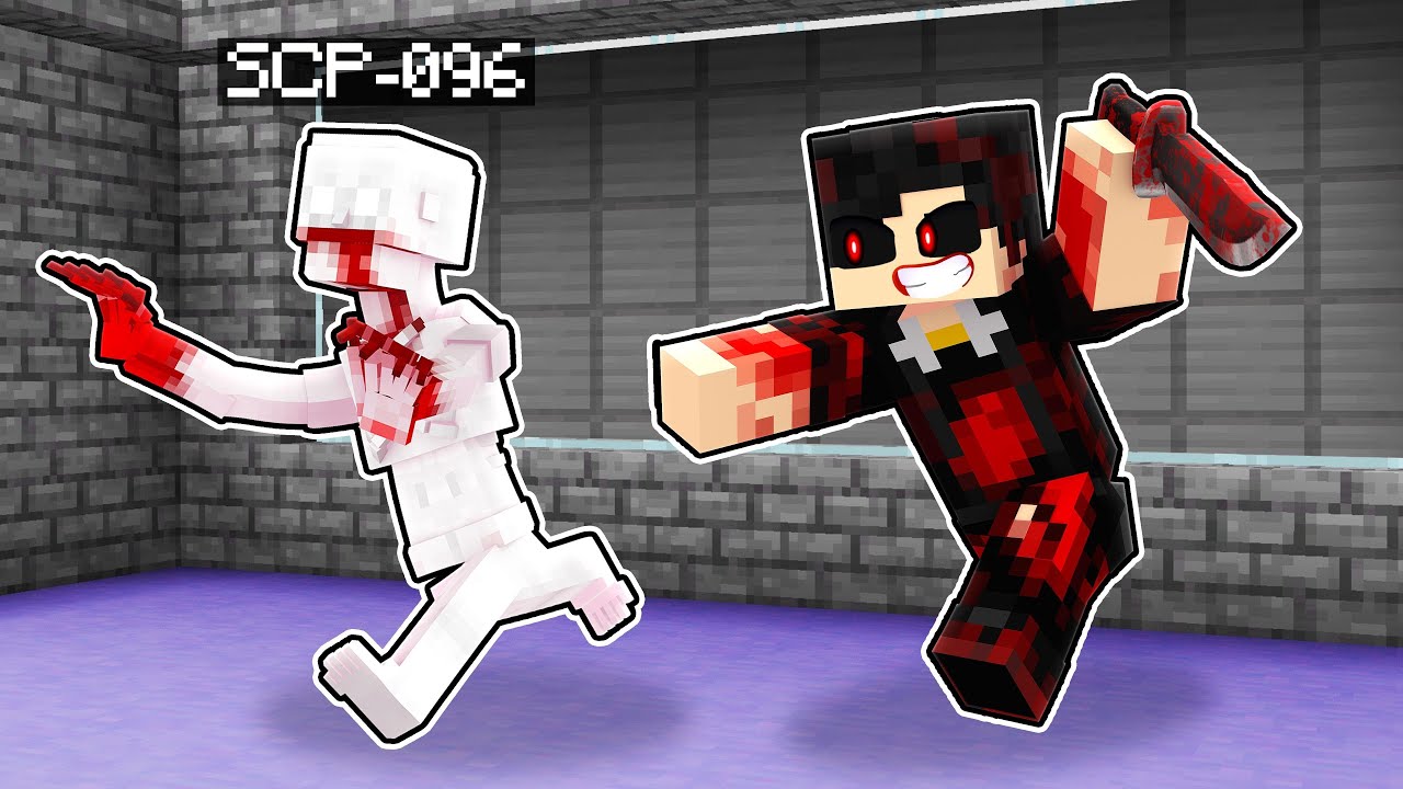 LEVEI O SP33DY.EXE para a FUNDAÇÃO SCP