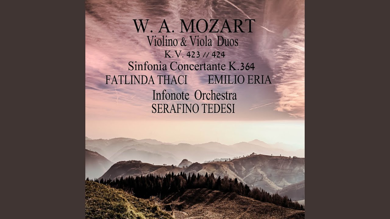 Duo per violino e viola No. 1 in G Major, Op. 28, K. 423: I. Allegro
