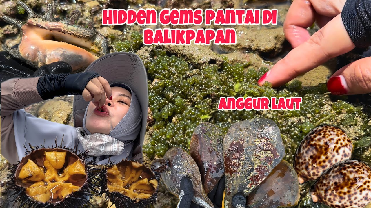 BARU TAU DI BALIKPAPAN ADA PANTAI BEGINI‼️Ketemu Semua Biota Laut Yang Diimpikan