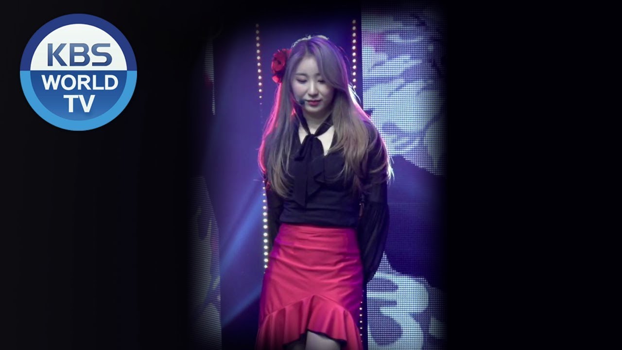[FOCUSED] IZ*ONE's LEE CHAE YEON - La Vie en Rose [Music Bank / 2018.11.23]