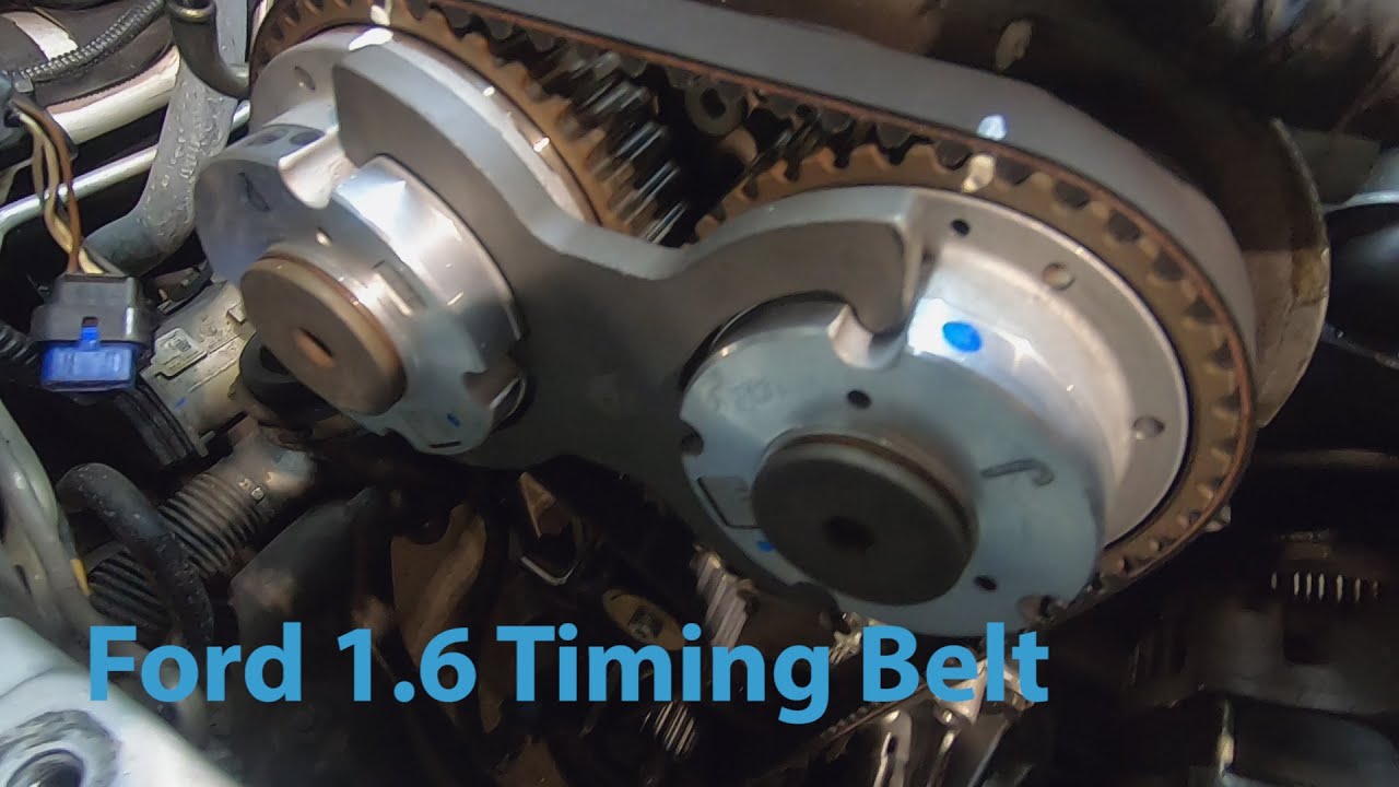 Ford 1.6 Ecoboost Timing Belt