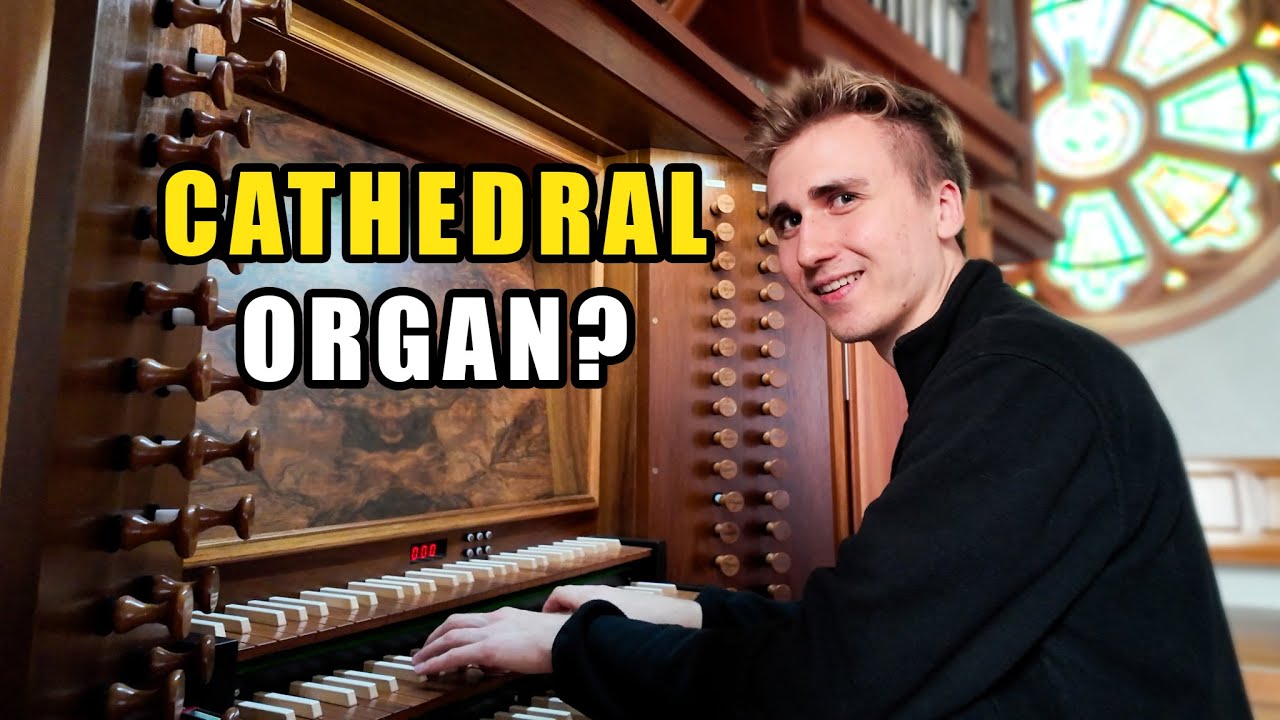 Finding the best organ in the World!!