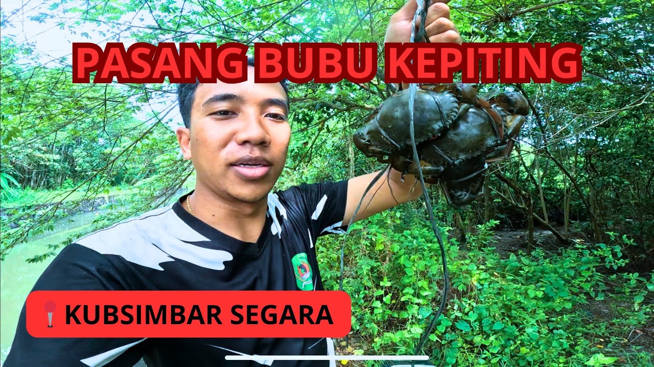 “Serunya Pasang Bubu Kepiting ‼️di Hutan Mangrove! 🦀‼️”