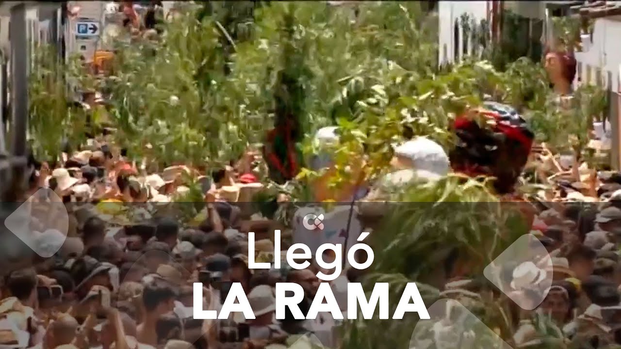 La Rama de Agaete 2024 ya llegó