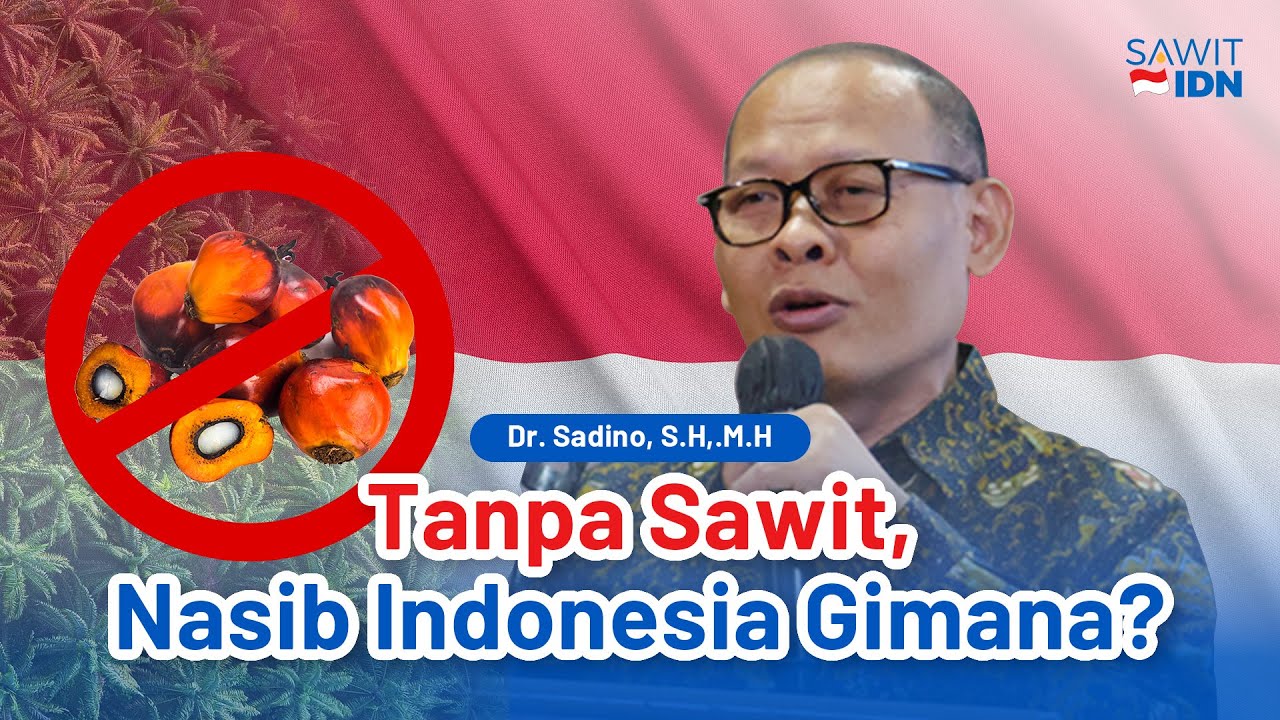 ISU REGULASI HAMBAT KELAPA SAWIT | DR. SADINO, S.H,.M.H | SawitIDN