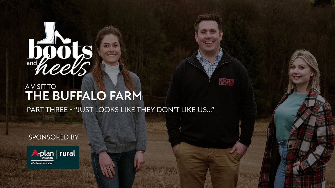 Boots and Heels: The Buffalo Farm Part 3 - 