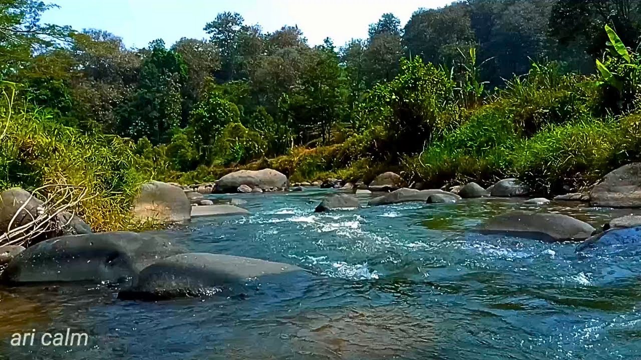 SERENE RIVER SOUNDS – TRANQUIL STREAM FLOW OVER ROCKS TO CALM MIND & IMPROVE DEEP SLEEP #49