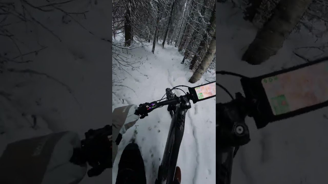 Winter trails. Haibike allmtn 4 2025