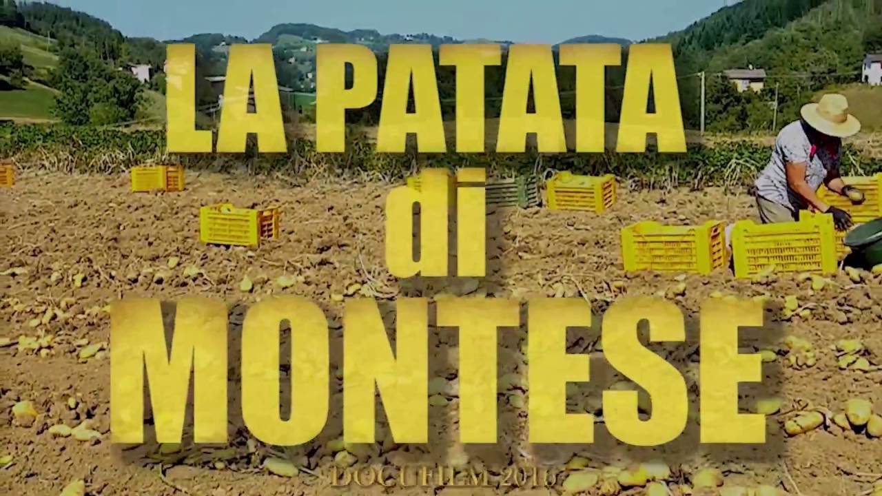 La Patata di Montese 