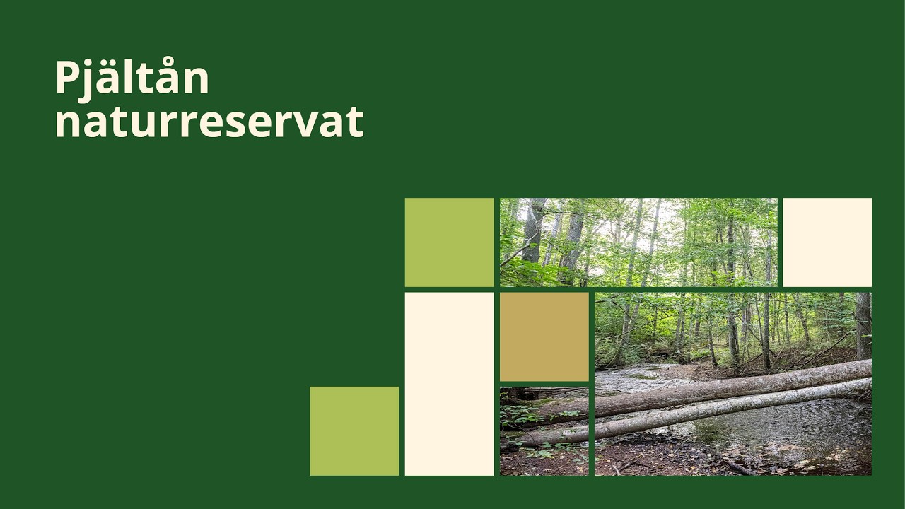 Pjältån naturreservat