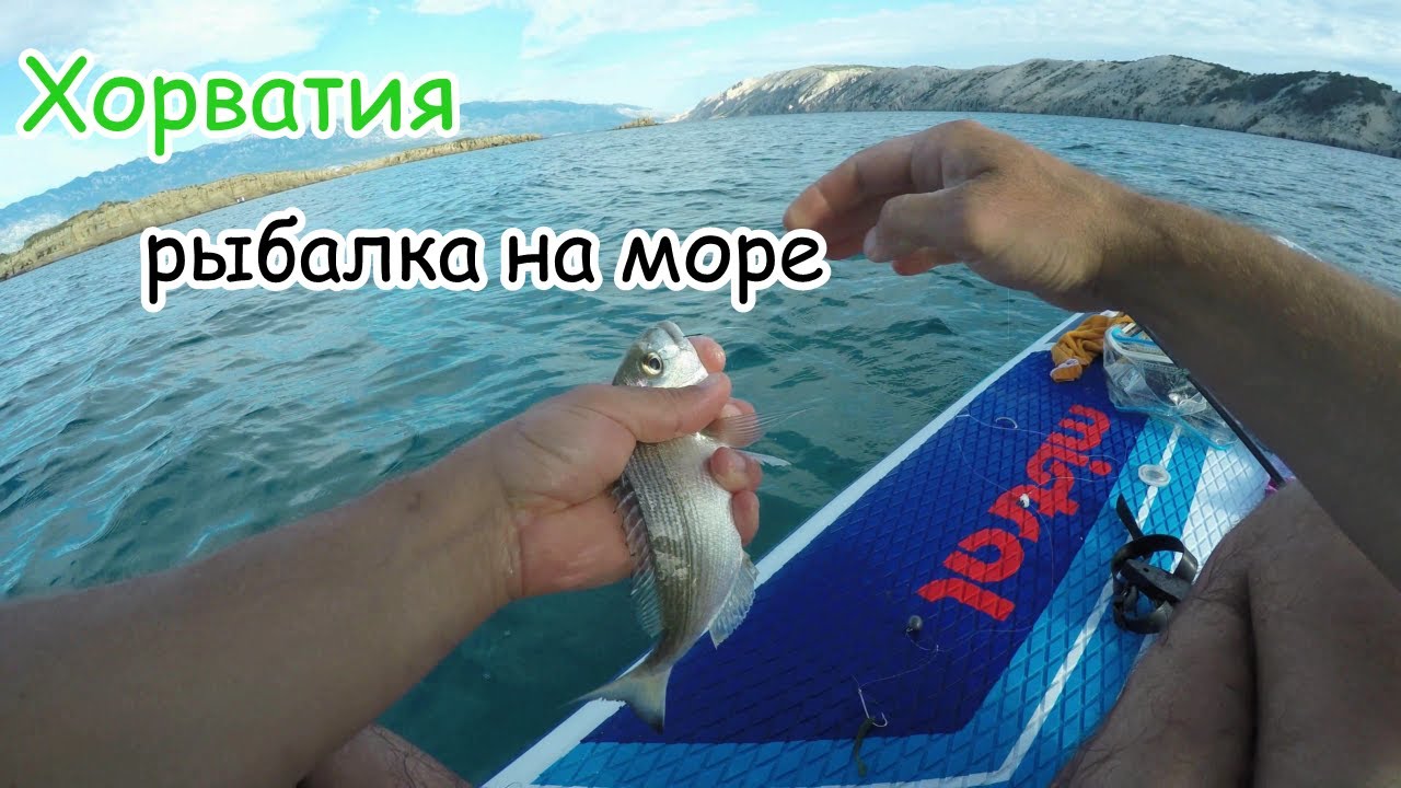 рыбалка на море в Хорватии. история как меня уколол морской дракон. Хорватия #Rab #Lopar