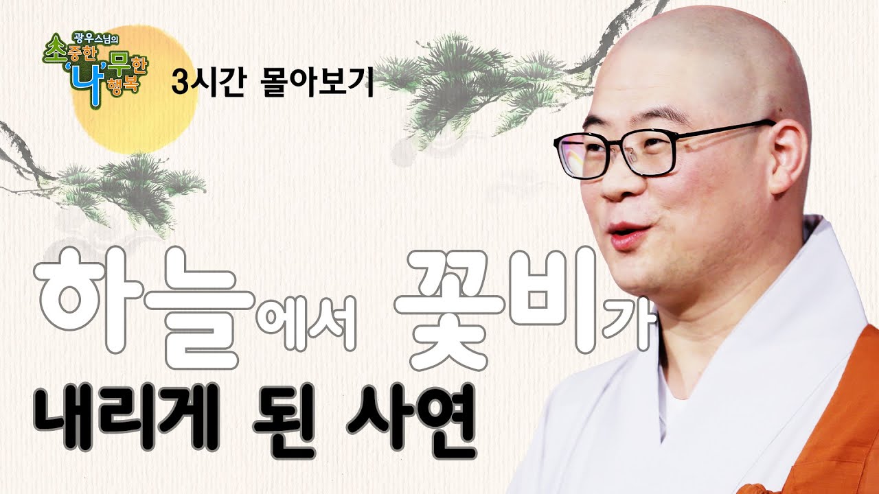 하늘에서 꽃비가 내리게 된 사연 [광우스님 소나무 3편 몰아보기]