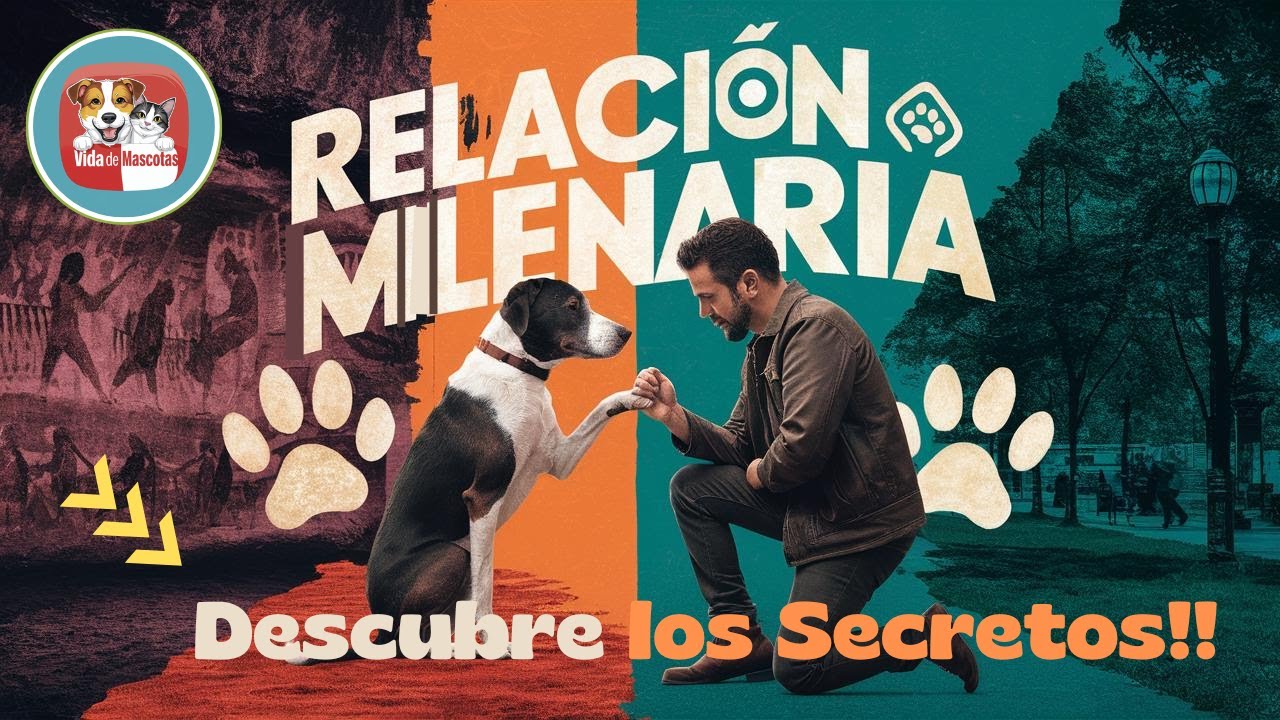 Hombre y Perro: Descubre los Secretos de una Relaci&oacute;n Milenaria 🐕❤️