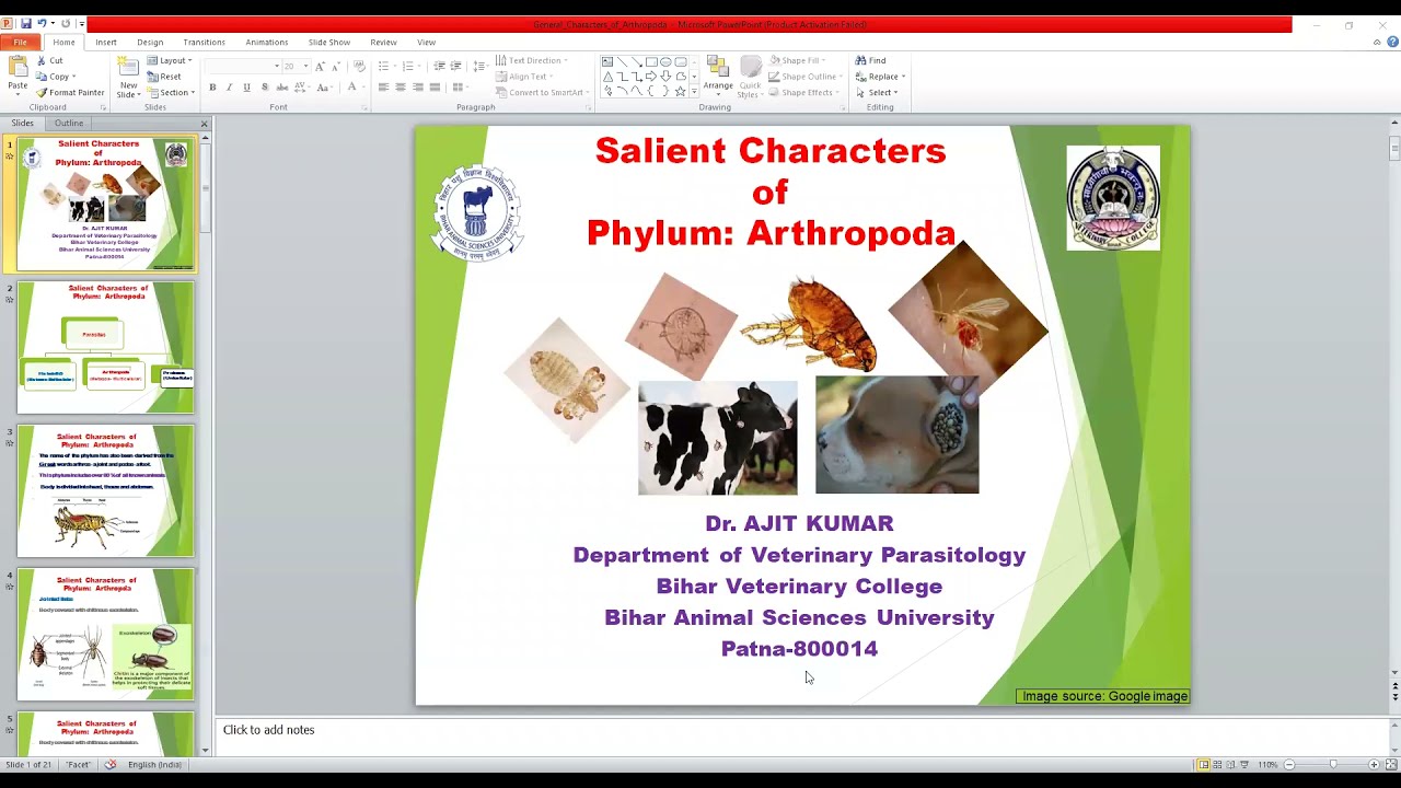 Salient Characters of Phylum Arthropoda by Dr. Ajit Kumar, Dept. of Parasitology, BVC, Patna