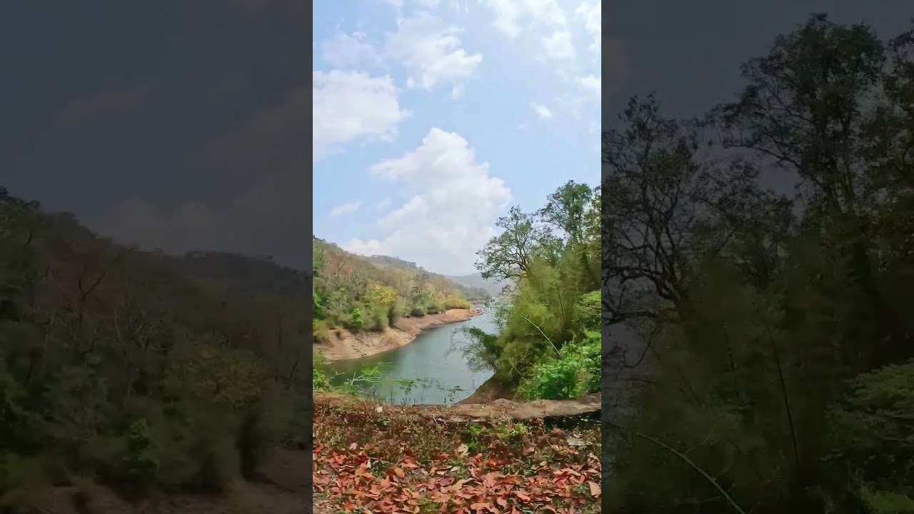 Sholayar Dam, Bison Valley. #shorts #treding