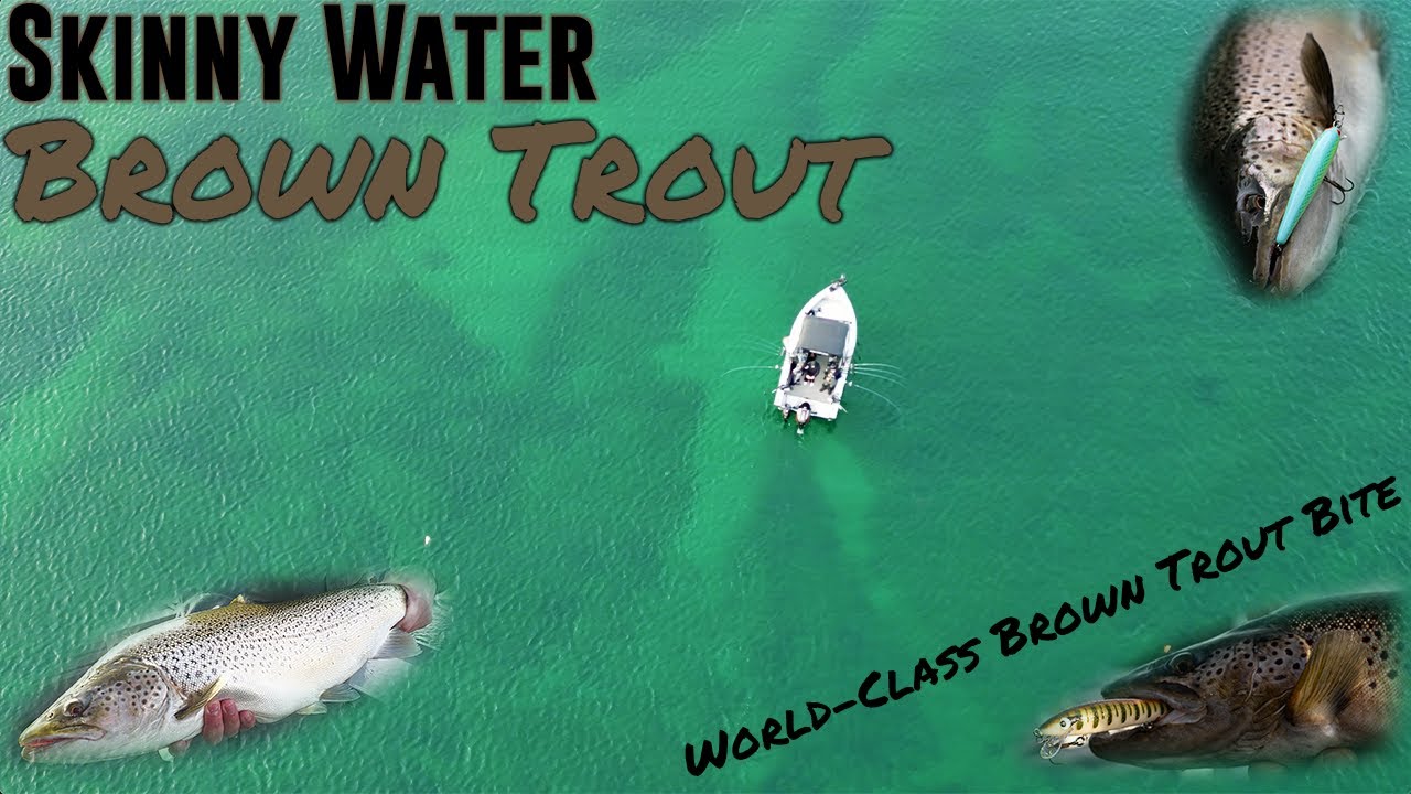 SMASHING BROWN TROUT on Lake Ontario with FishUSA Exclusive Baits - How To Troll for Brown Trout