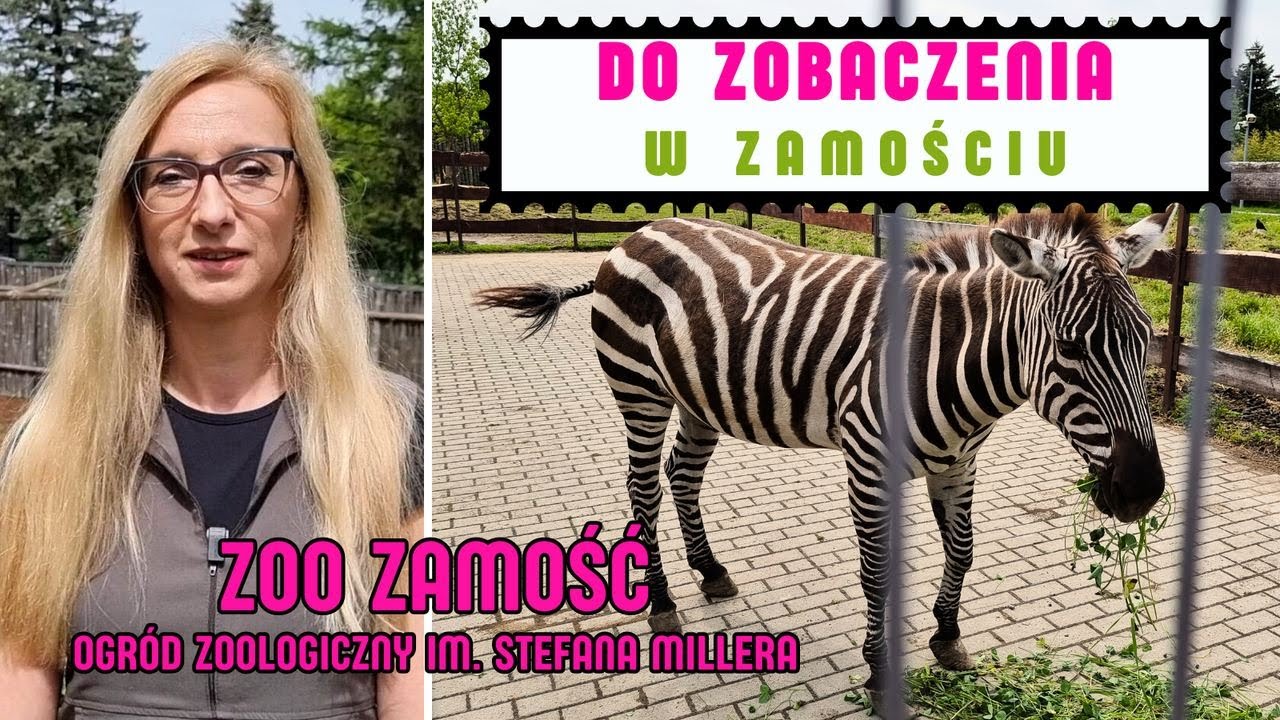 Do zobaczenia w Zamościu. ZOO :)