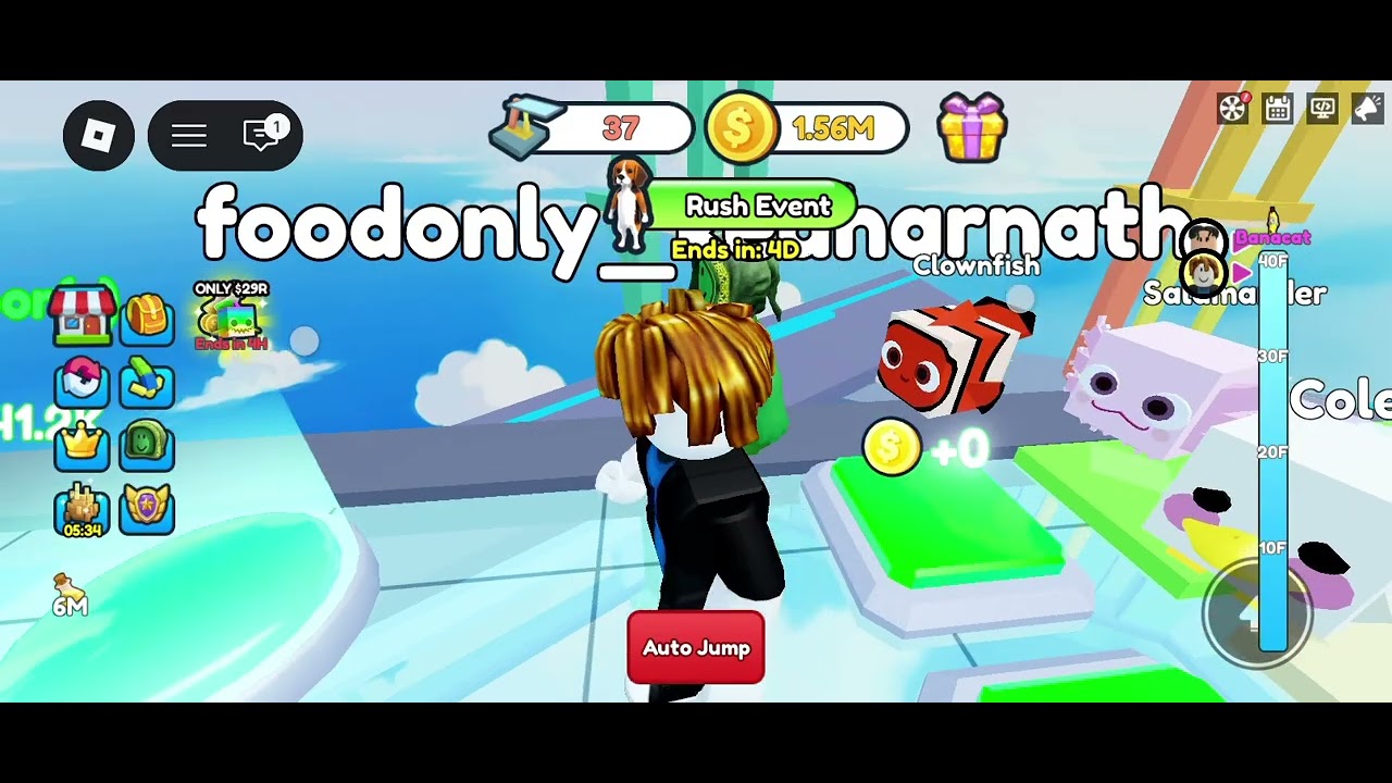 Hi guys today we are playing dive into a pool with my another account 