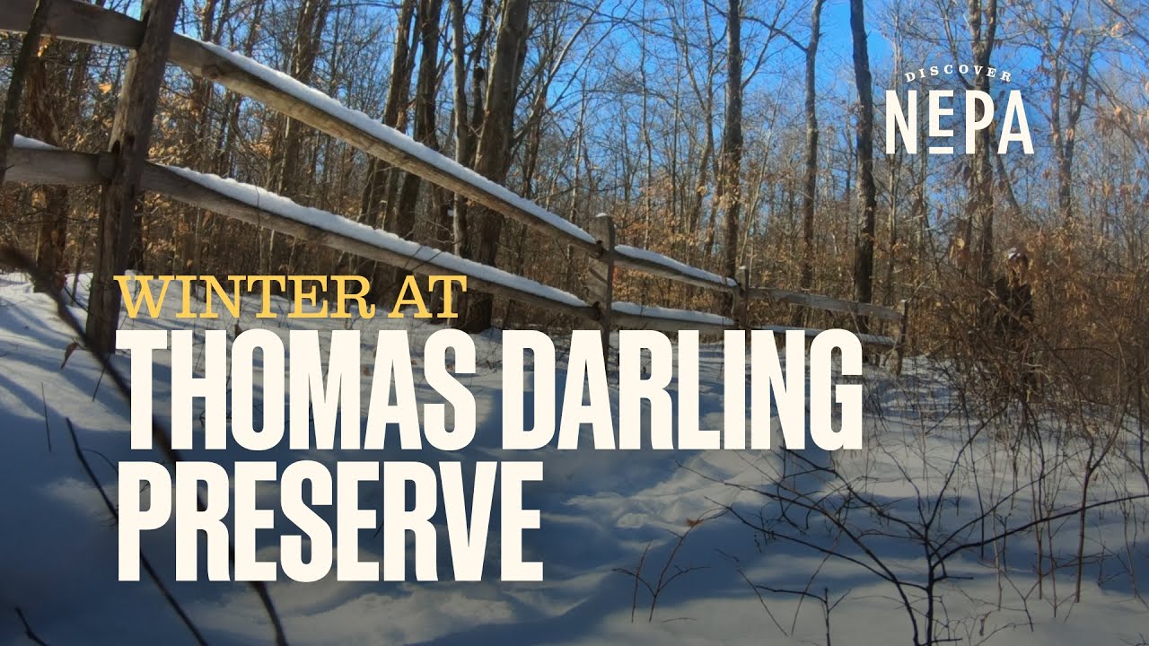Winter at Thomas Darling Preserve | Blakeslee, PA