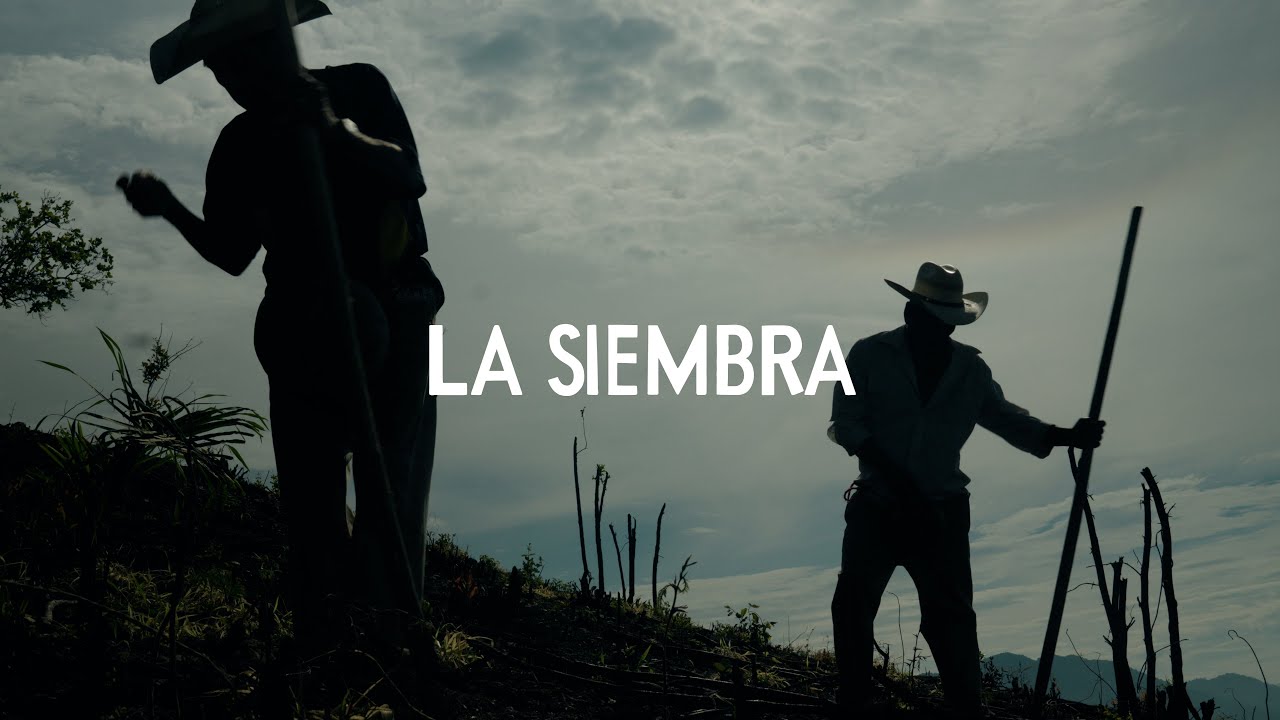 La Siembra - Planting Heirloom Corn in Coastal Oaxaca