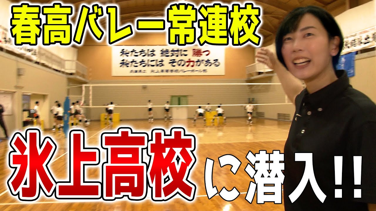 【春高バレー】予選突破直後！氷上高校女子バレー部に潜入取材！！【兵庫県代表】