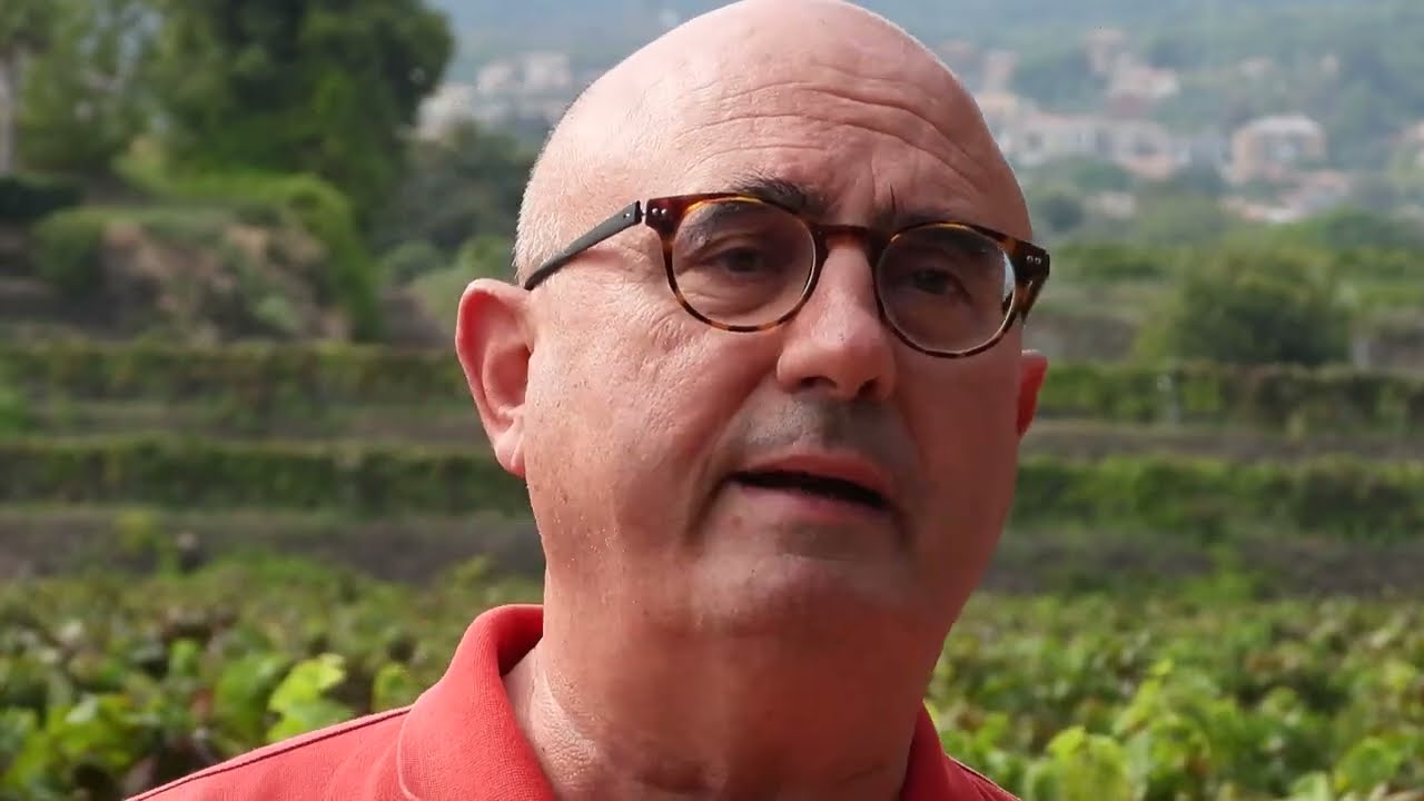 Cantine Murgo: i vini dell'Etna Doc