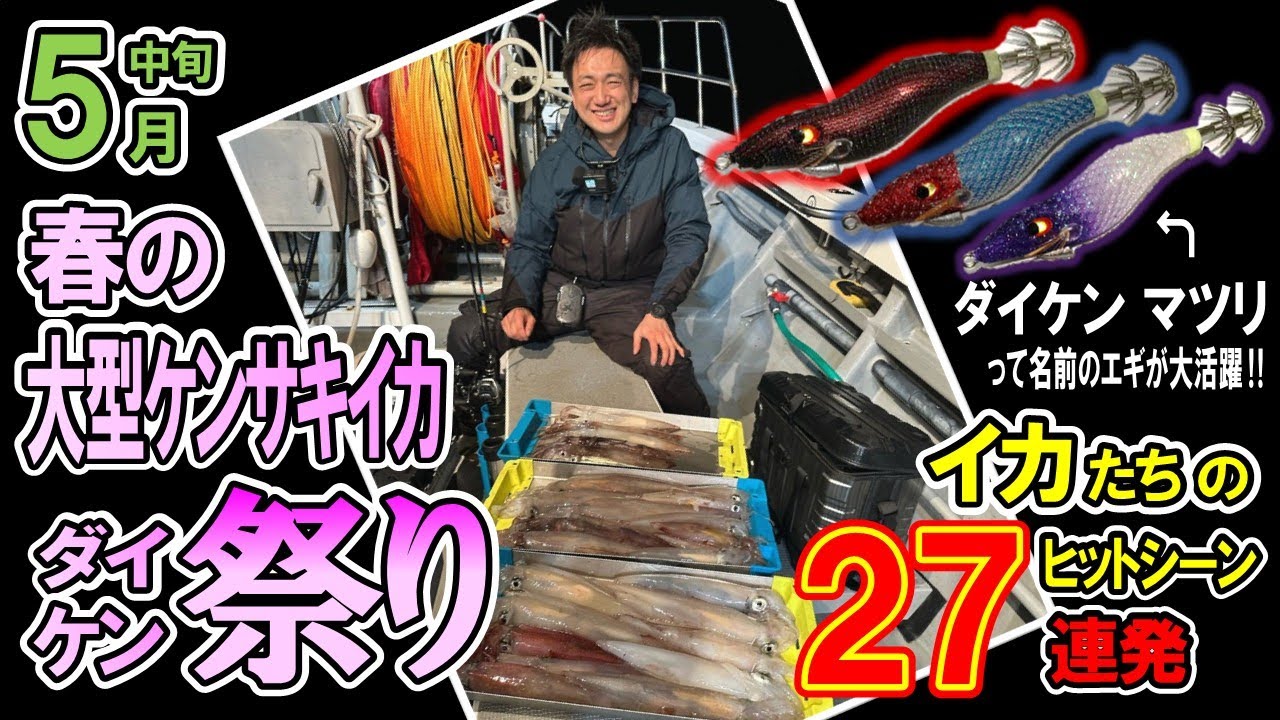 【イカメタル】春の大型ケンサキイカ・ダイケン祭りでした【オモリグ】2025/5