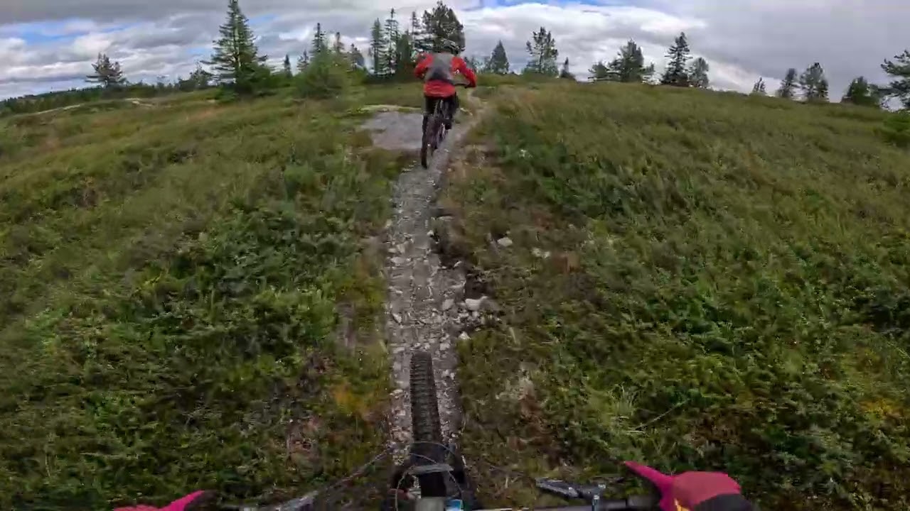 Skaraåsen Rundt/ Ål Hallingdal Norway #emtb #mtb #emtblife 