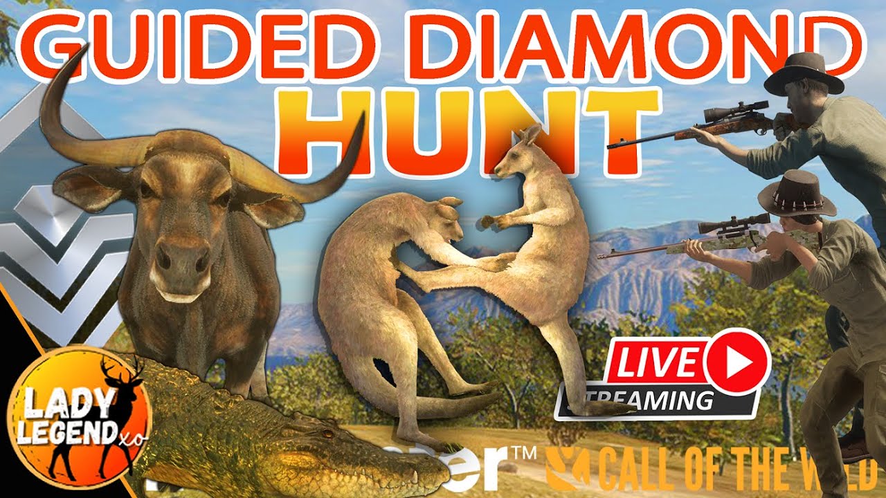 GUIDED DIAMOND HUNT with VIEWERS!!!  LIVE with Lady!