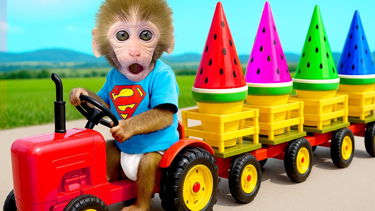 ลิงน้อยบอนบอนขับรถสุดเท่ และซื้ออมยิ้มสายรุ้งยักษ์กลับบ้าน - HT สัตว์