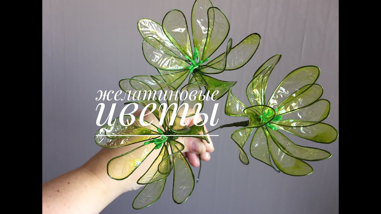 Желатиновые цветы/GELATIN FLOWERS