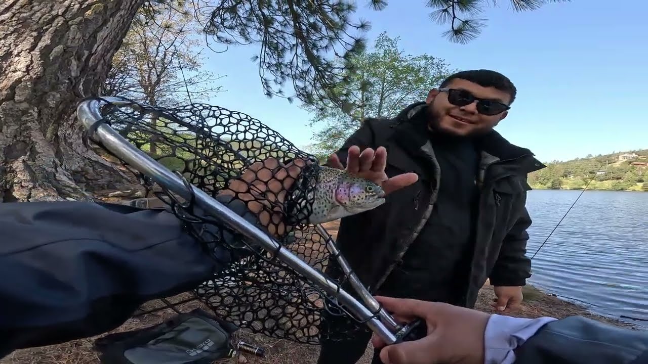 MASSIVE TROUT !!! LAKE GREGORY FISHING