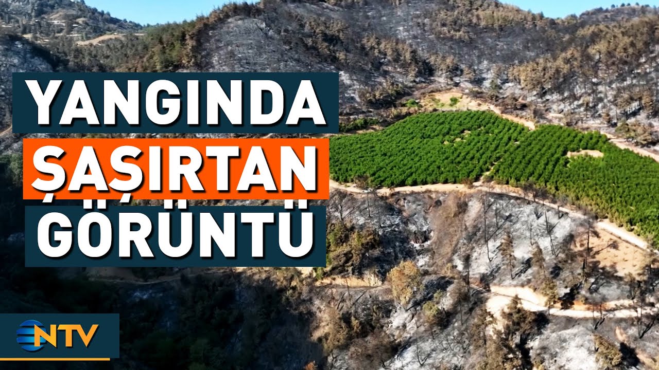 Bursa'daki Yangının Ardından Görenleri Hayrete Düşüren Görüntü | NTV